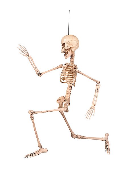 Bewegliches Mini-Skelett 